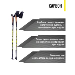 Компактные палки для скандинавской ходьбы Finpole GEO T3 100% Carbon